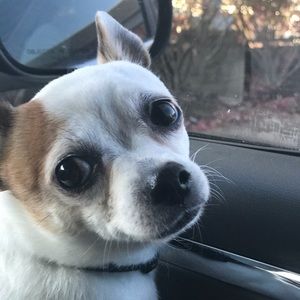 Meet your Posher, Tracy